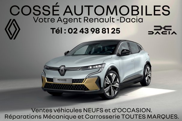 panneau megane-2